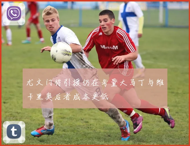 尤文门将引援仍在考量大马丁与维卡里奥后者成本更低